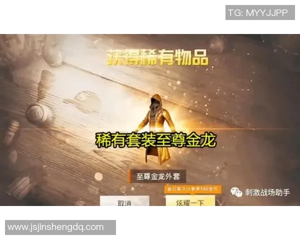 和平精英焦点BLG团队的实力分析与未来发展探讨